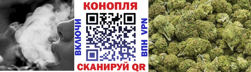 Каннабис планчик Руза