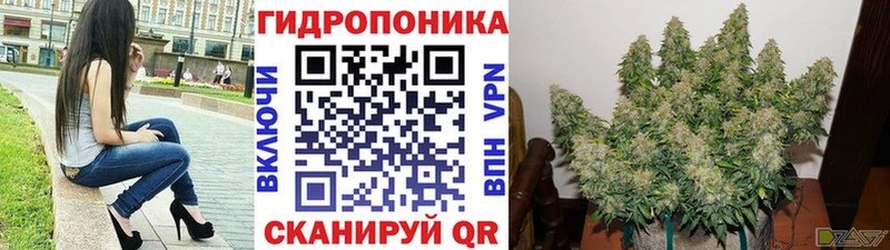 МЕГА ТОР  дарк нет клад  Бошки марихуана семена  Руза 